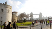 The Tower & Tower Bridge