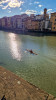 Arno