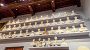 Galeria Academia