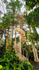 Botanischer Garten