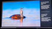 Wildlife Photograph of the Year Ausstellung
