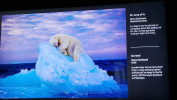 Wildlife Photograph of the Year Ausstellung