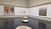 Die Freie Ausstellung