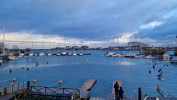 Hafen