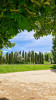 Parque de El Retiro