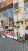 Blumen